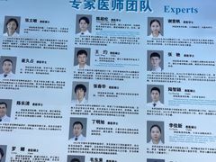 -北京观赏动物医院·24小时大型综合·猫专科·异宠专科