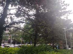 -北京歌华开元大酒店