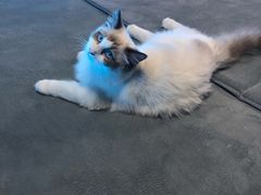 -零纪元VR体验馆·桌游(黄浦店)