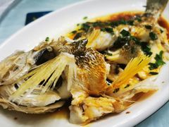 -金海湾海鲜排档(朱家尖店)