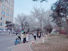 -吉林大学(南岭校区)