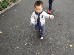 -西湖外事游船(花港观鱼码头)