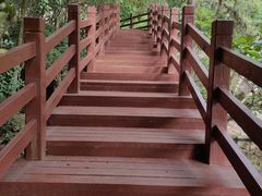 -广州白江湖森林公园