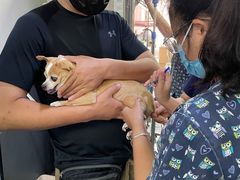 -爱侣宠医·鹦鹉专科·小型哺乳类·异宠专科(灵石路店)