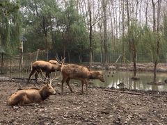 -溱湖国家湿地公园