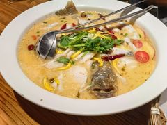 -花溪雨·森林餐厅(石基店)