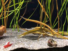 -西雅图水族馆