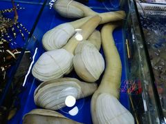 -明记海鲜美食老字号(明记总店)