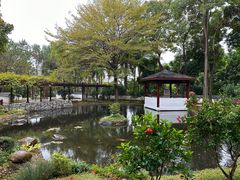 -深圳国际园林花卉博览园