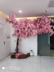 -Sunny喜铺婚礼策划(东部店)