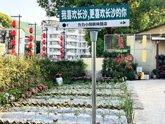 -湘力力小院·鱼汤泡饭(枫林路店)