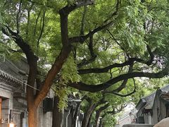 -北三条胡同打卤面馆(雍和宫店)