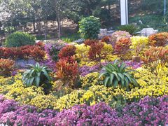 -大兴滨河森林公园