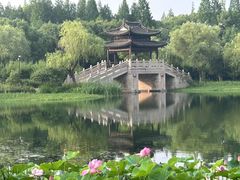 -尚湖风景区