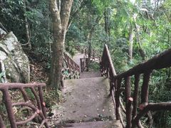 -海南热带雨林国家公园吊罗山景区