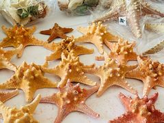 -浙江自然博物院(杭州馆)