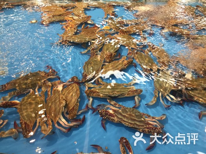 宝燕海货工场(长江国际店)-图片-上海美食-大众点评网