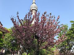 -龟山风景区-龟山电视塔