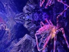-正佳极地海洋世界