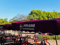 -上海野生动物园