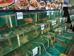 水产区-琼大师东方烤乳猪(亚特兰蒂斯店)