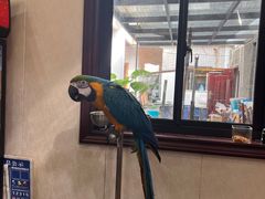 -观桥阁(锦溪店)