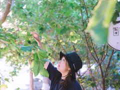 -大连理工大学(凌水校区)