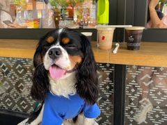 -Peet's Coffee皮爷咖啡(大学路店)