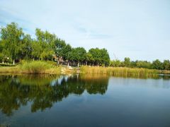 -永定河休闲森林公园