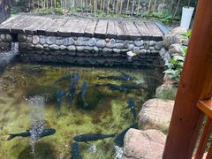 -耕渔小院·湖南鱼鲜(望城店)