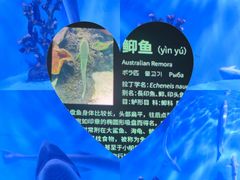 -泉城欧乐堡海洋极地世界