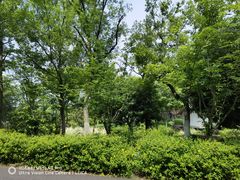 -茅山东方盐湖城景区