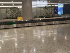 -上海浦东国际机场-T2航站楼