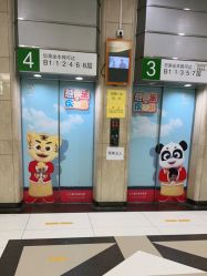 -首都医科大学附属北京儿童医院