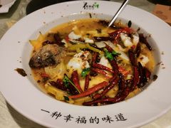 -花溪雨·森林餐厅(石基店)