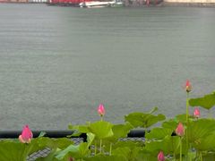 -后海公园