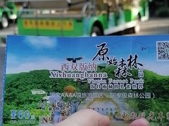 -西双版纳原始森林公园