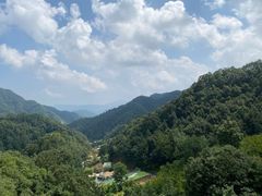 -栾川竹海野生动物园