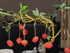 -一朵菌·野生菌探索家火锅(南亚店)
