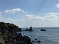 -涉地可支