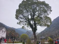-黄公望隐居地