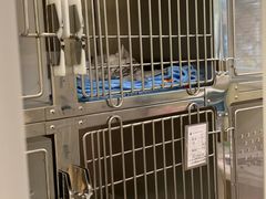 -美迦爱-牙专科·兔科·骨科诊疗中心(北苑店)