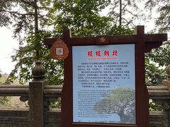 -安溪清水岩