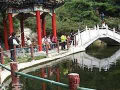 -王顺山国家森林公园