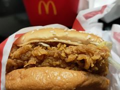 -麦当劳(新新大道岗丰店)