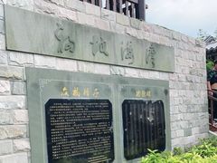 -奉贤海滩