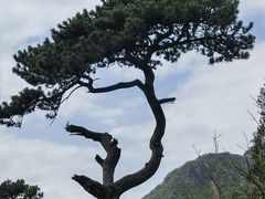 -妙峰山风景名胜区