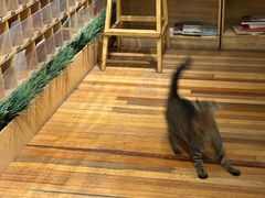 -猫的天空之城概念书店(杭州南宋御街店)