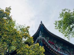 -灵谷景区