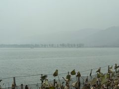 -湖畔居茶楼(湖滨店)